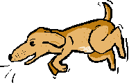 FIDO.gif (2417 bytes)