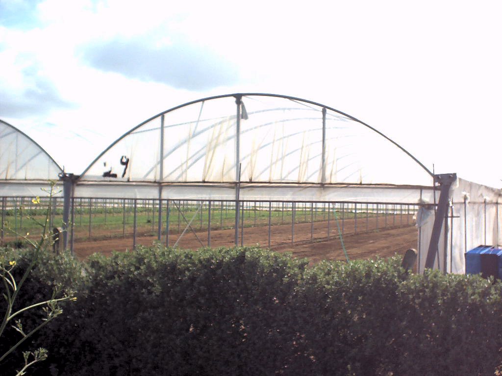 Schema elettronico scacciatopi ultrasuoni